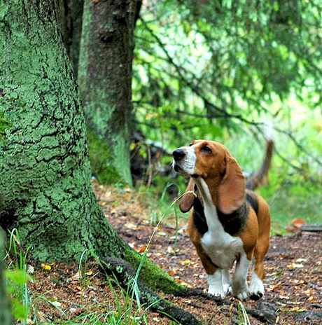 Hillary de la Petite Dordogne
